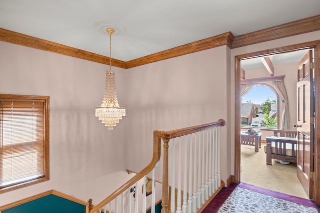 hall with carpet, an inviting chandelier, and crown molding