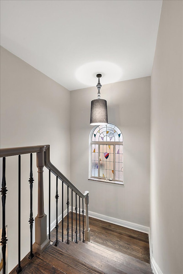 stairway featuring wood-type flooring