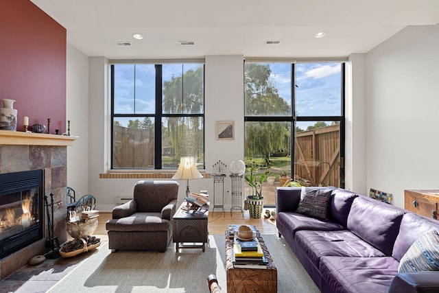 living room featuring a fireplace and hardwood / wood-style floors