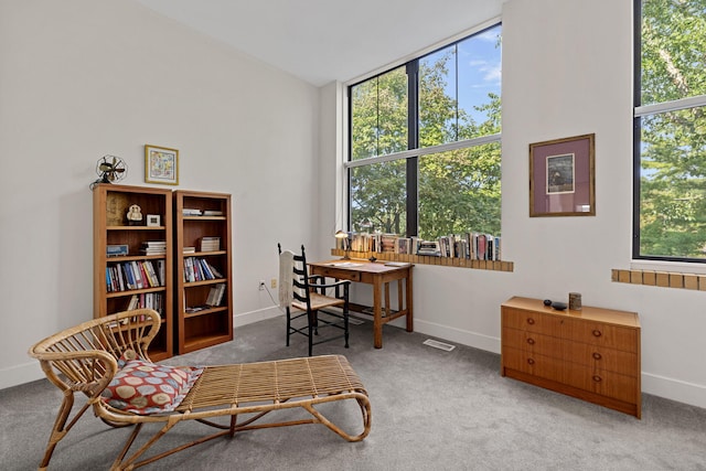 carpeted office space with high vaulted ceiling