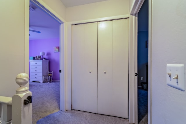 hallway featuring carpet flooring