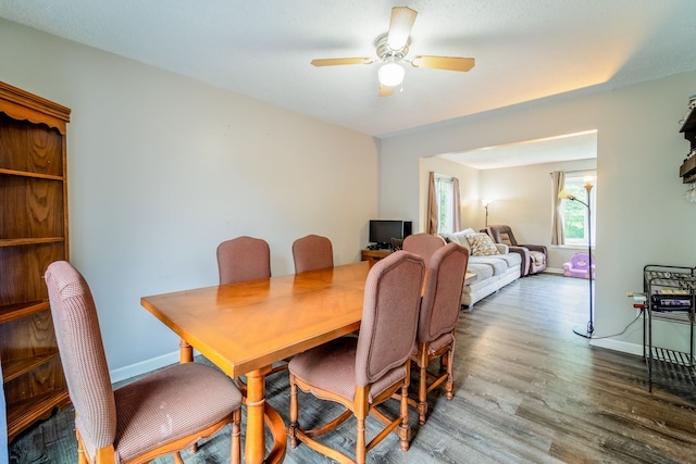 dining room featuring ceiling fan and hardwood / wood-style floors