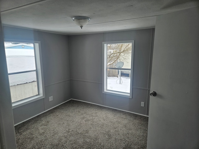 empty room featuring carpet