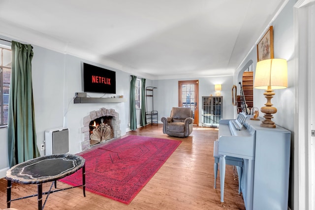 living room featuring wood-type flooring