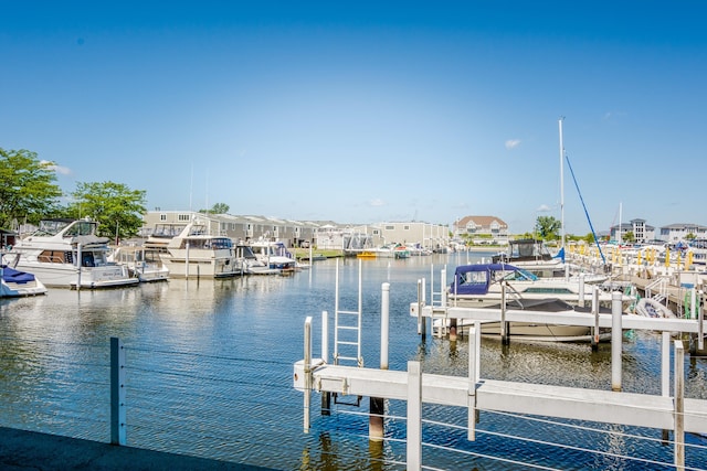 dock area with a water view