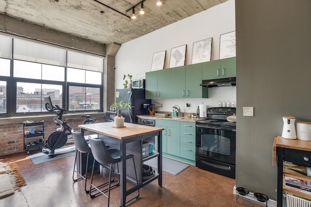 kitchen featuring green cabinets, sink, and black appliances