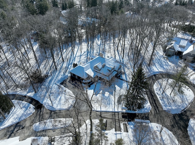 view of snowy aerial view