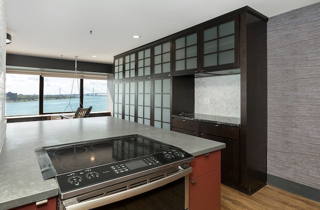 kitchen featuring decorative backsplash, a water view, stainless steel range with electric stovetop, and light wood-type flooring