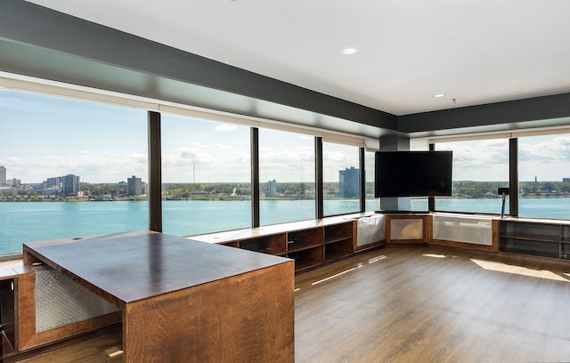 interior space featuring dark hardwood / wood-style floors