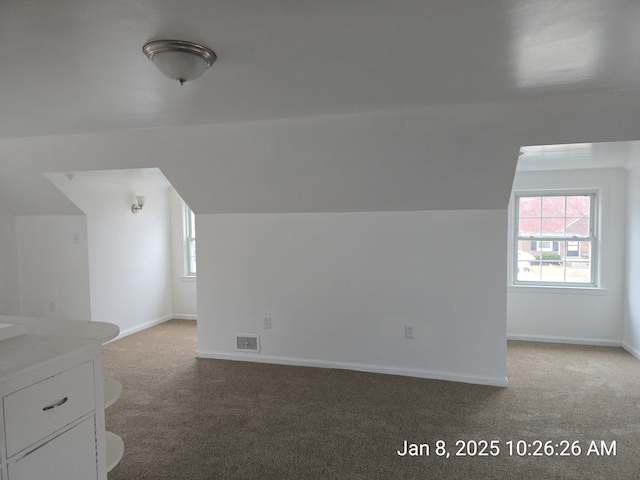 additional living space with carpet floors, plenty of natural light, and lofted ceiling