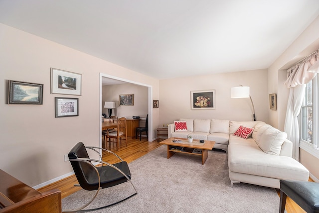 living room featuring hardwood / wood-style floors