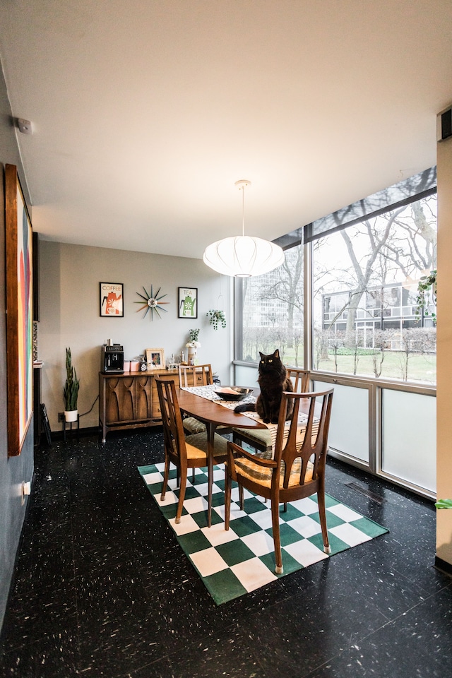 view of dining space