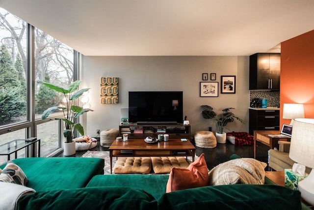 living room featuring expansive windows