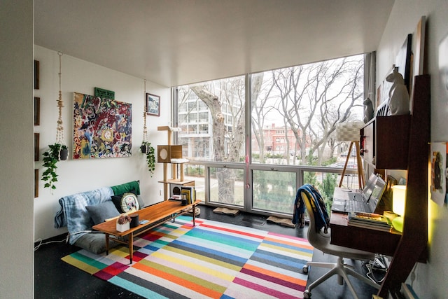 view of carpeted home office