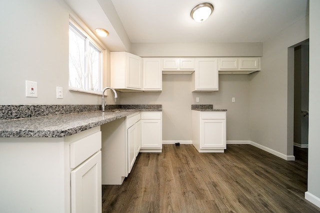 kitchen with white cabinetry, dark wood-type flooring, and sink