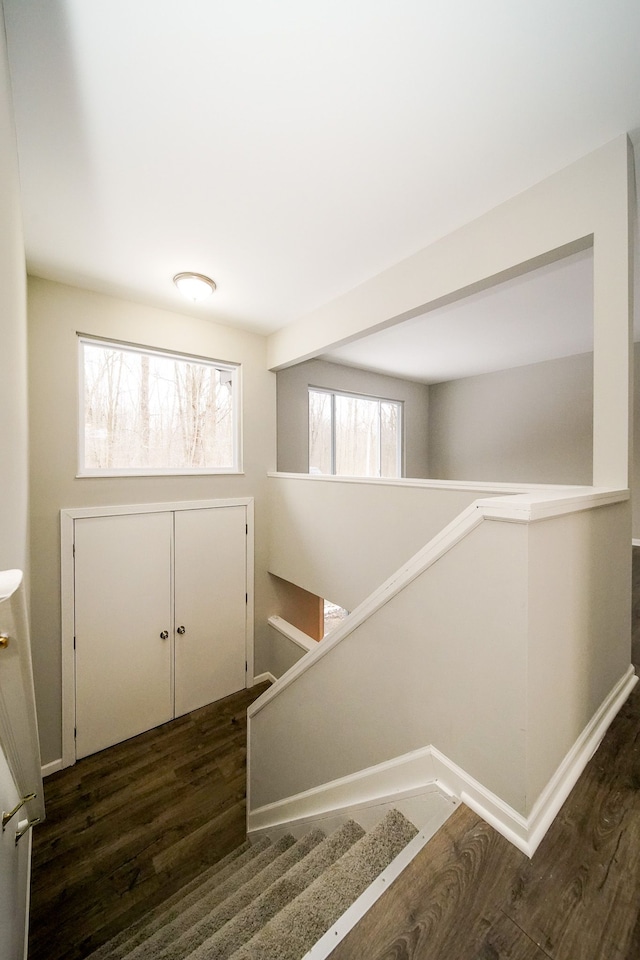 stairway featuring hardwood / wood-style floors