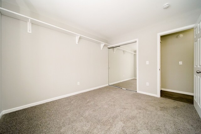 spacious closet featuring carpet