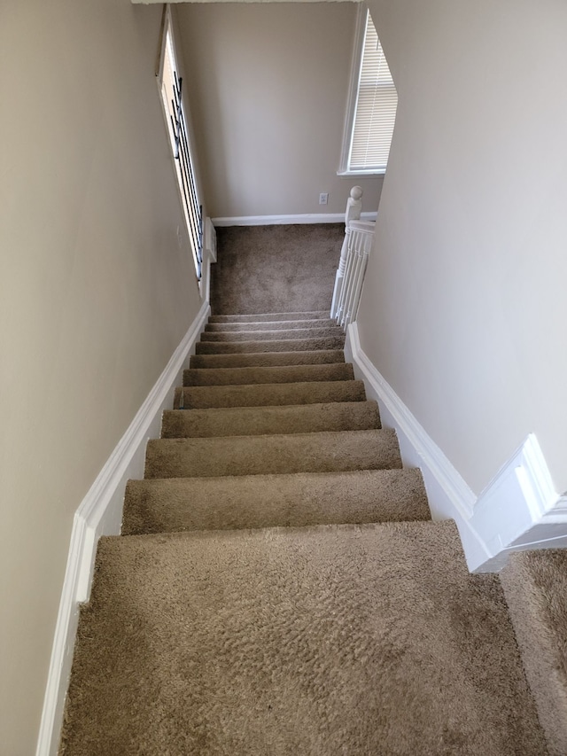 stairs featuring carpet