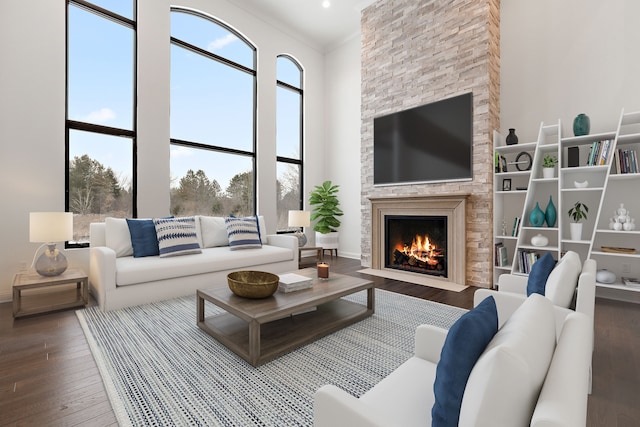 living room with a stone fireplace, wood-type flooring, a high ceiling, and ornamental molding