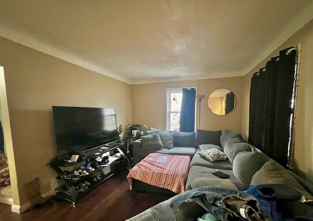 living room featuring wood-type flooring