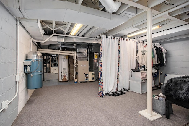 basement featuring gas water heater