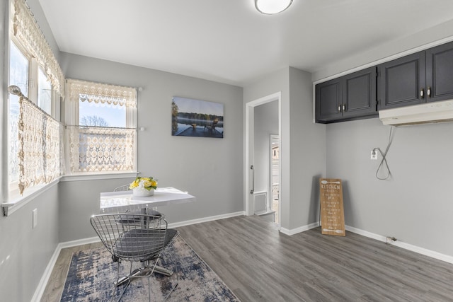 living area with dark hardwood / wood-style flooring