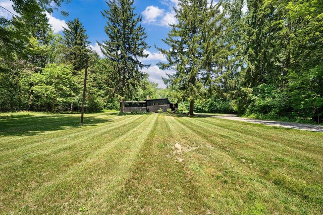 5831 Browntown Rd, Sawyer, MI 49125 - photo 34