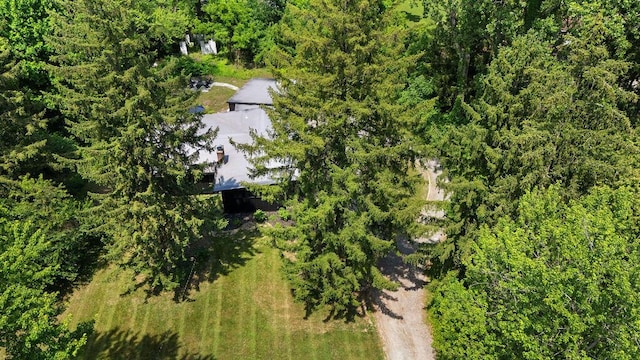 5831 Browntown Rd, Sawyer, MI 49125 - photo 35