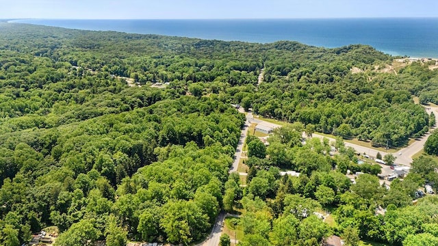 5831 Browntown Rd, Sawyer, MI 49125 - photo 39