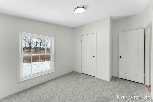 unfurnished bedroom featuring light colored carpet and a closet