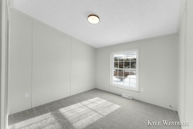 empty room featuring light colored carpet and ornamental molding