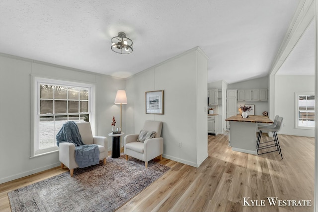 sitting room featuring a textured ceiling, light hardwood / wood-style floors, and vaulted ceiling