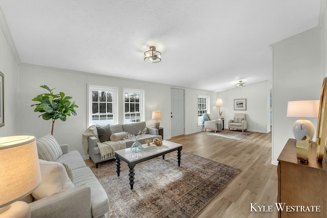 living room with a textured ceiling and light wood-type flooring