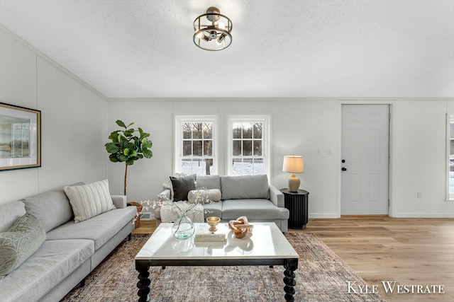 living room featuring a textured ceiling and light hardwood / wood-style floors