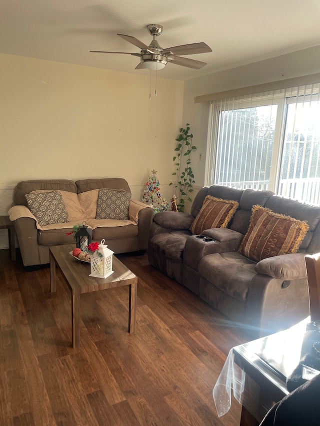 living room featuring ceiling fan and dark wood-type flooring