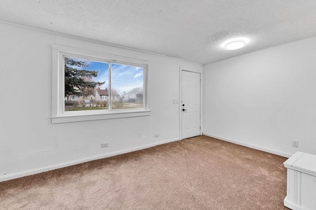 carpeted empty room featuring a textured ceiling