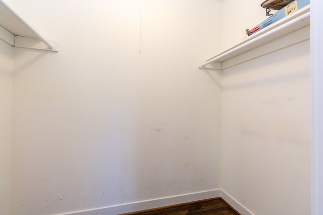 spacious closet with dark hardwood / wood-style flooring