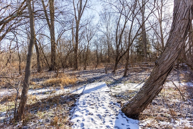 view of yard layered in snow