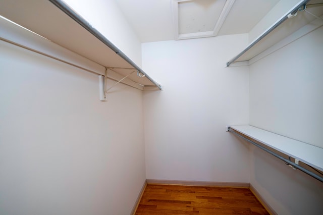 walk in closet with wood-type flooring