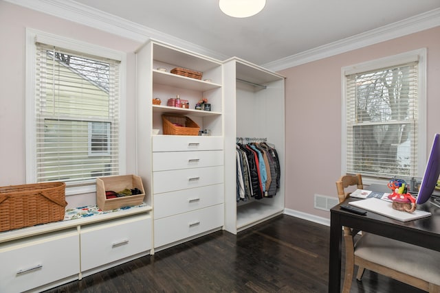 walk in closet with dark hardwood / wood-style flooring