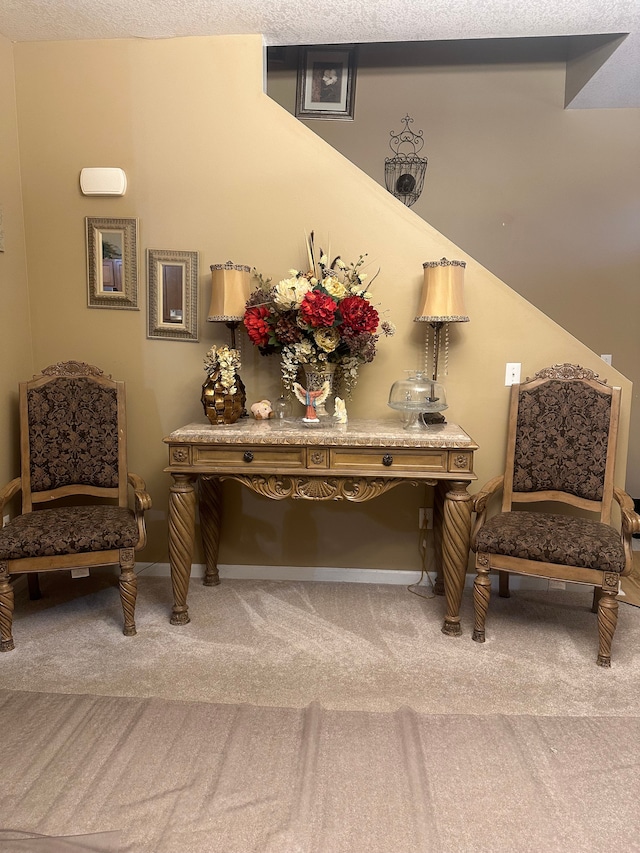 sitting room featuring carpet