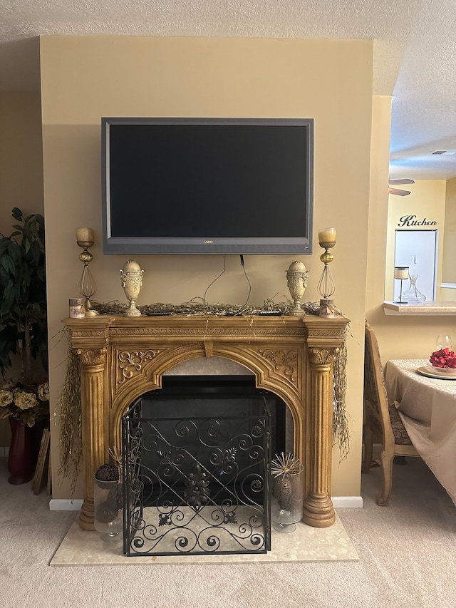 details with carpet flooring and a textured ceiling