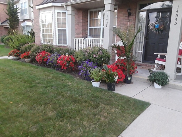 view of exterior entry with a porch and a lawn