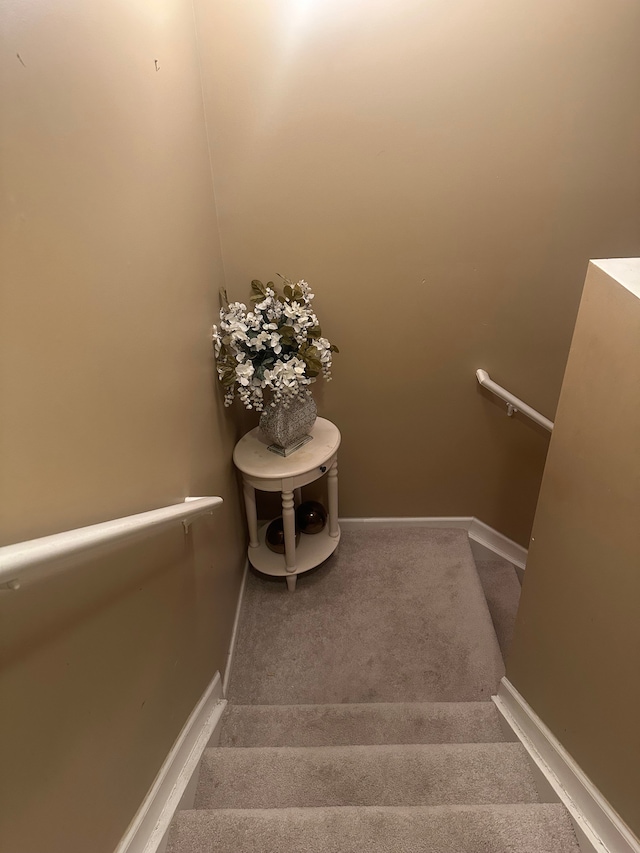 staircase featuring carpet floors