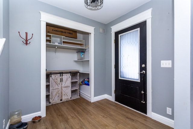 foyer entrance featuring wood-type flooring