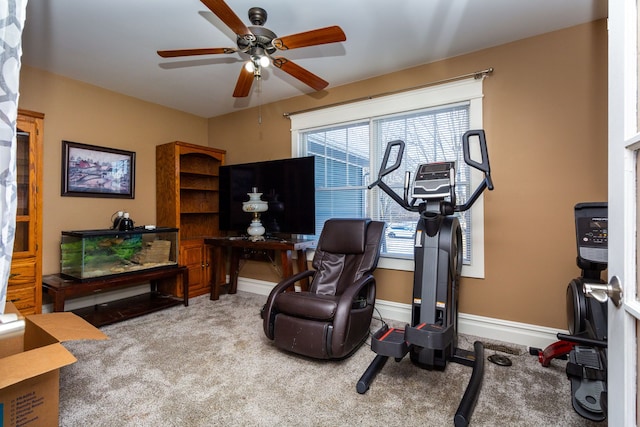 interior space with ceiling fan, a wealth of natural light, and carpet flooring