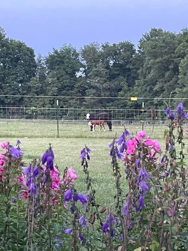 view of home's community with a rural view and a lawn