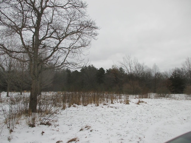 view of snowy landscape