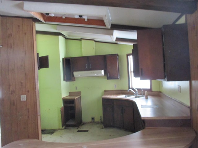 kitchen featuring ventilation hood, dark brown cabinets, wood walls, and sink