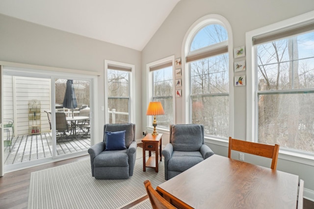 sunroom with lofted ceiling